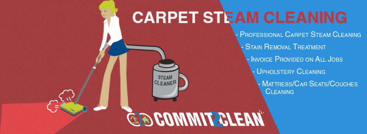 Hiring a professional carpet cleaner vs doing the carpet cleaning yourself
